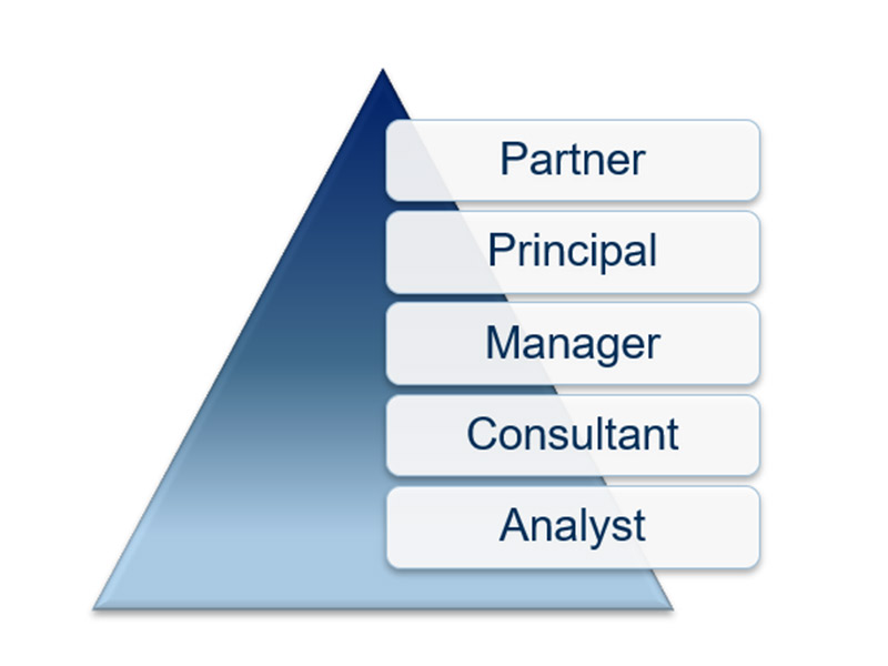 Career paths in pharmaceutical consulting