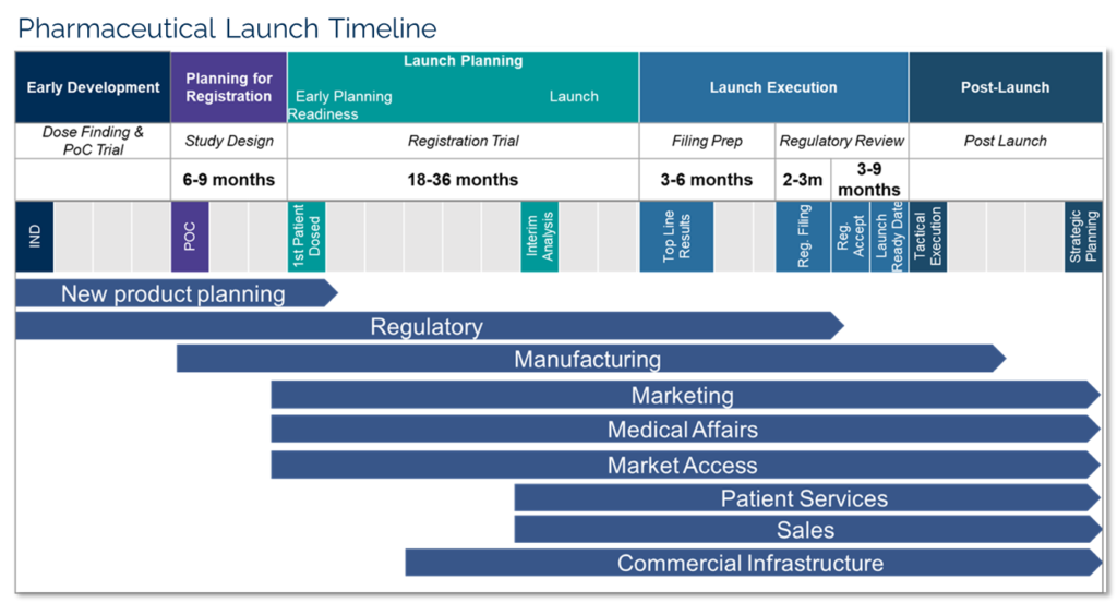 Pharmaceutical Launch Timeline